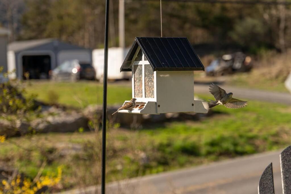 Cozy Cottage, Hot Tub, Fire Pit, 15Min To Hudson And Hiking Catskill Eksteriør bilde